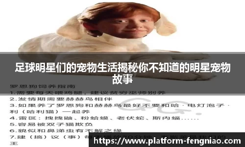 足球明星们的宠物生活揭秘你不知道的明星宠物故事